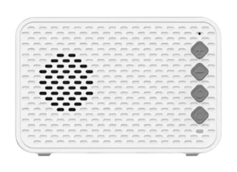 Voice Payment